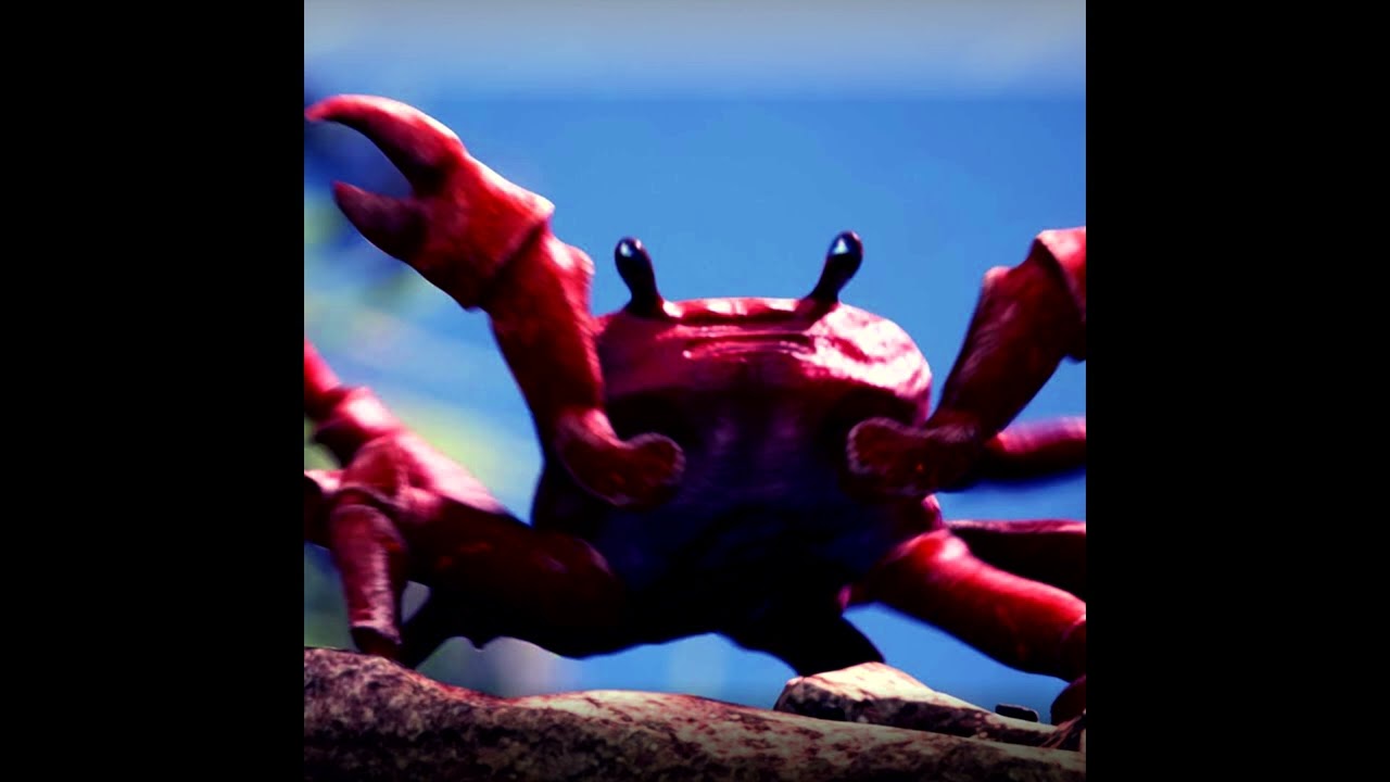 NoiseStorm - Crab Rave (Silver Frog Remix)