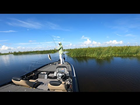 Summer Headwaters Bass Fishing Summer Headwaters Bass Fishing