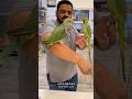 الفرق بين الدرة الهندي والنيبالي