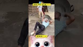 😳 One Thing Led To Another… Total Chaos 😂 #shorts