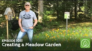 Growing a Greener World Episode 1011: Creating a Meadow Garden, Anywhere Around Your Yard