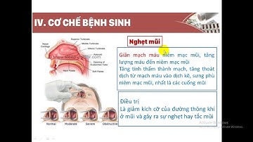 Bài Giảng Hóa Dược 2 :BÀI GIẢNG THUỐC TÁC ĐỘNG TRÊN HỆ GIAO CẢM