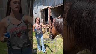 Dit Paard Is Stiekem Een Genie