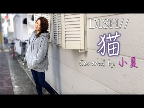 【女性が歌う】猫 - DISH//｜Covered by 小夏【歌ってみた】歌詞付き