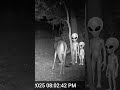 aliens caught on camera greeting deer
