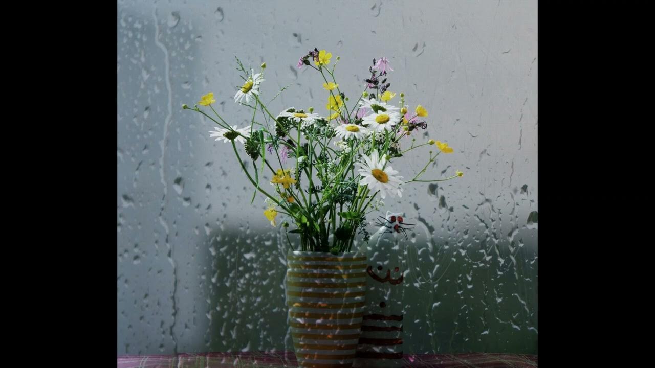 пасмурное утро. дождливые полосы.