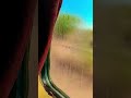 whatsapp satats! train stats! train status! video! video! #train #railvlogger #railway