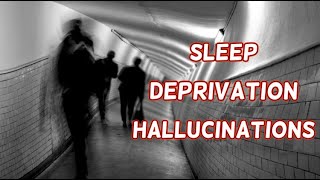 What are Sleep Deprivation Hallucinations like?