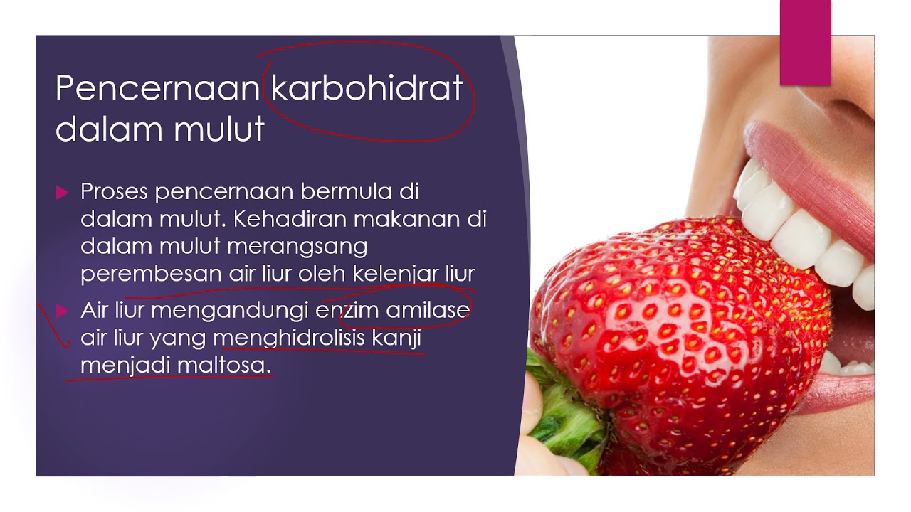 BIOLOGI TINGKATAN 4 : 9.1 SISTEM PENCERNAAN 9.2 PART 1 PENCERNAAN