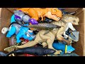 Dinosaur Jurassic World Toy In The Box ASMR Review