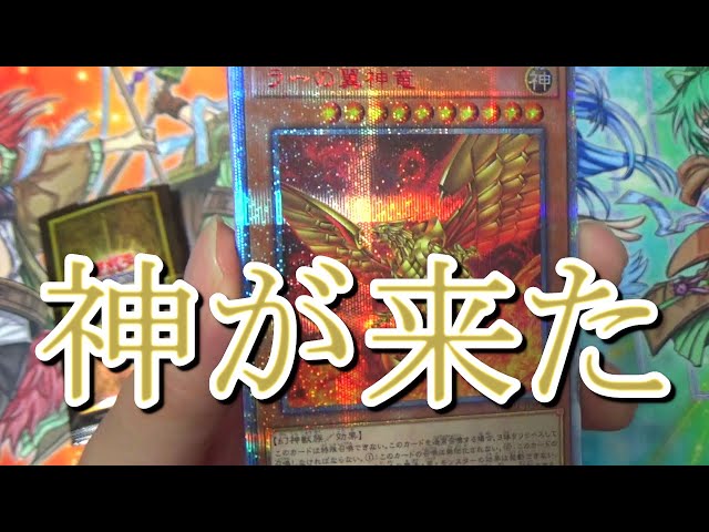 遊戯王】ラーの翼神竜20thシク！少年ジャンプ応募者全員大サービス