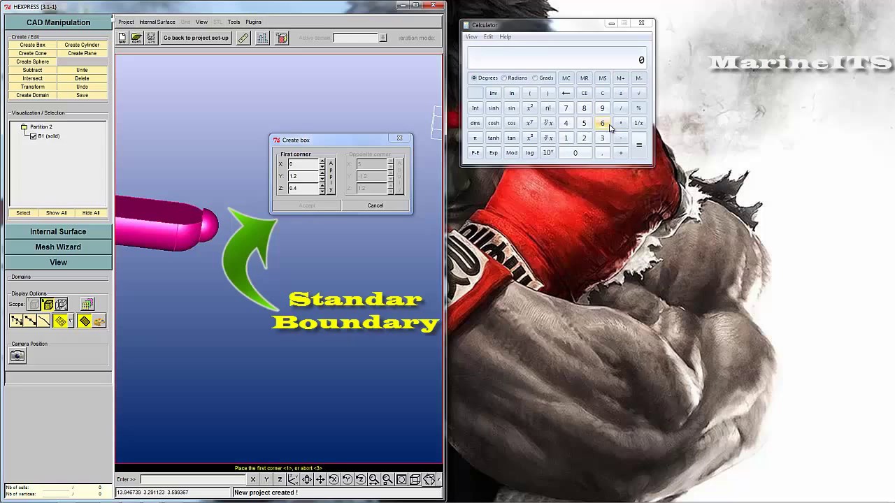 NUMECA FINE Marine - Tutorial Make Design dan Domain Geometry (HEXPRESS)
