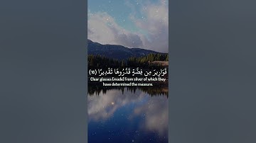 ويطاف عليهم بآنية من فضة وأكواب كانت قواريرا - القارئ هاني الرفاعي