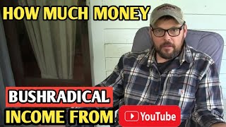 HOW MUCH MONEY DOES BUSHRADICAL CHANNEL EARN FROM YOUTUBE