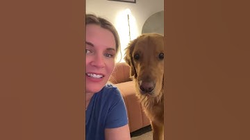 Visually impaired perspective