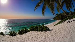 Dreamy 🌴 Sunlit Beach Waves & Ocean Sounds Calm Focus | 4K 12H 🌊