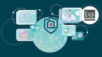 NEMECYS Partner Videos Series |  Information Catalyst (ICE)