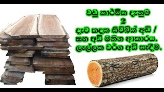 how to find thick feet on a mountain of wood. sinhala. SL thusitha bro