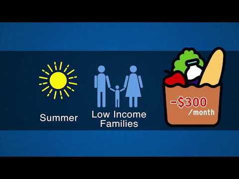 Summer Food Service Program Overview 1
