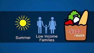 Summer Food Service Program Overview (1)