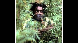 Peter Tosh - Rudies Medley chords