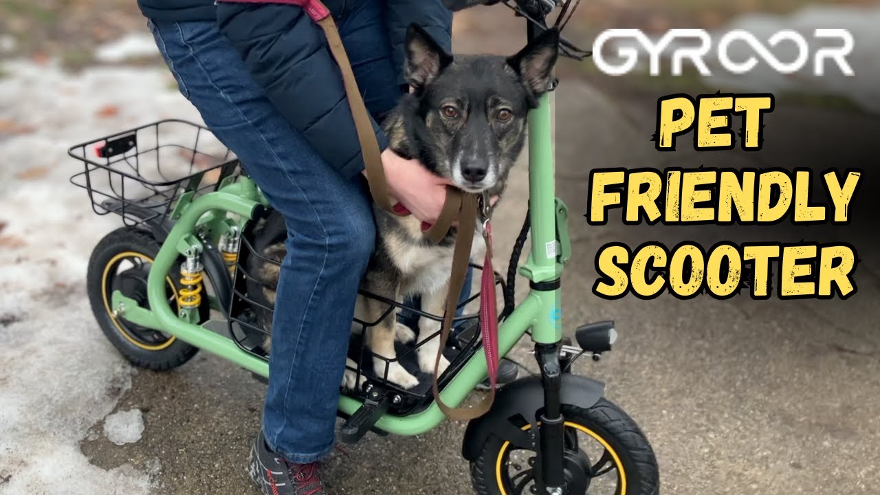 Electric Scooters for Adults & Kids | GYROOR Electric Scooters for Adults & Kids | GYROOR