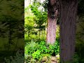 صدای آرام بخش آب Nature Travel Afgahnistan Badakhshan صدای آرام بخش آب Nature Travel Afgahnistan Badakhshan