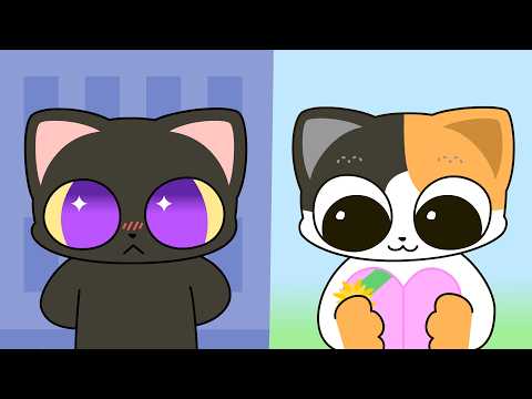 Curry & Sig episode 2