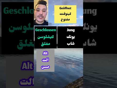 صفات في اللغة الألمانية Shorts