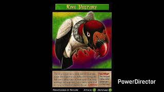 Weird N Wild Creatures J Paul Style Season 2 Episode 31 King Vulture