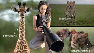 OUR SAFARI VLOG - Serengeti National Park, Tanzania