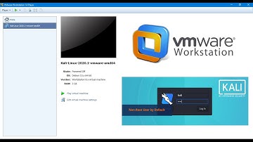 KALI LINUX 2020.1 - Download and Install on VMware Work Station