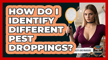 How Do I Identify Different Pest Droppings? - Insects and Invaders