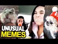The Most Unusual Memes Compilation