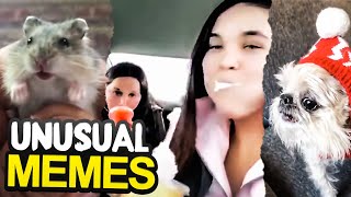 The Most Unusual Memes Compilation