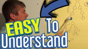 How Does a Binary Compensation Plan Work? (Explained in Simple Language)