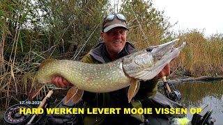 17 10 2025 Hard Werken Levert Toch Weer Mooie Vissen Op