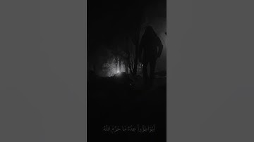 تلاوة عطرة من سورة التوبة بصوت الشيخ سعود الشريم 🤍