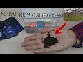 ЖИВАЯ РЫБА С Aliexpress! Проверка эксперимента SlivkiShow!!!