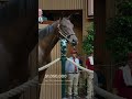 Hip 374 - $1.05 million