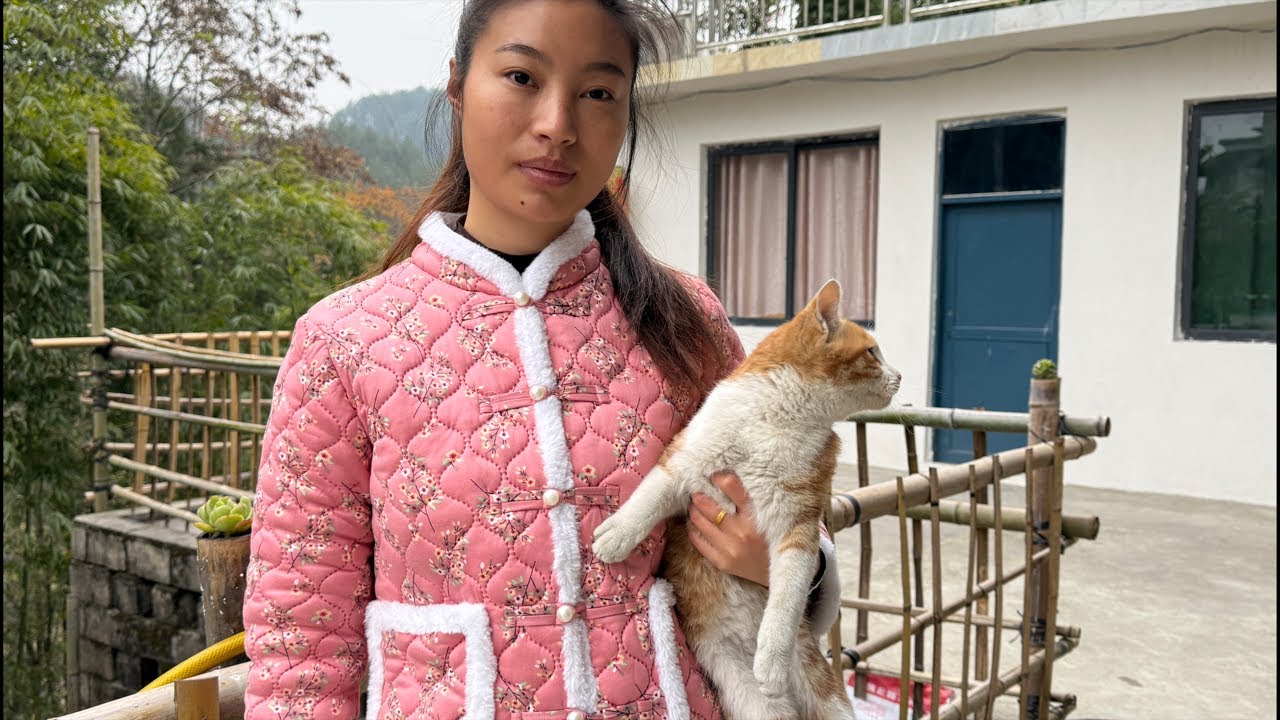 来猫不见了，难道找地方生猫仔去了？ - YouTube