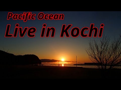 高知　海ライブ　Live in kochi japan