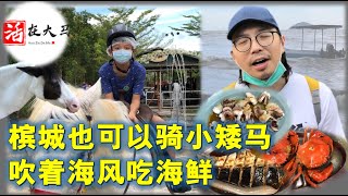 活在大马33：老城新玩，槟城也可以骑小马，到隐藏海边的海鲜店吃魔鬼鱼，活在槟城的北京孩子，不一样的玩法