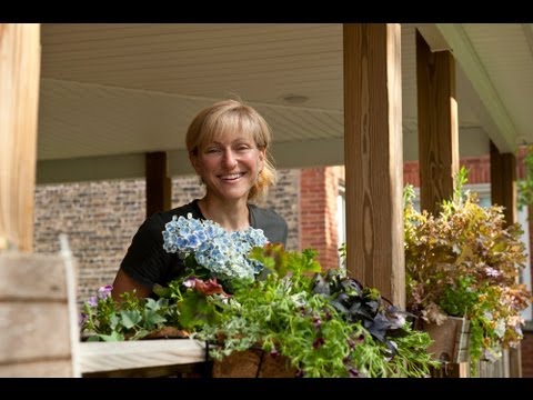 Video: Midwest Shade Garden: creación de un jardín de sombra en el medio oeste