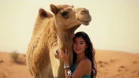 Thumbnail of Cafe De Anatolia - Arabic House 2024 (Mix By Billy Esteban)