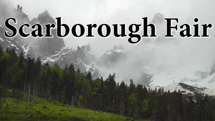 Scarborough Fair - TinWhistler with Ignacio Nez