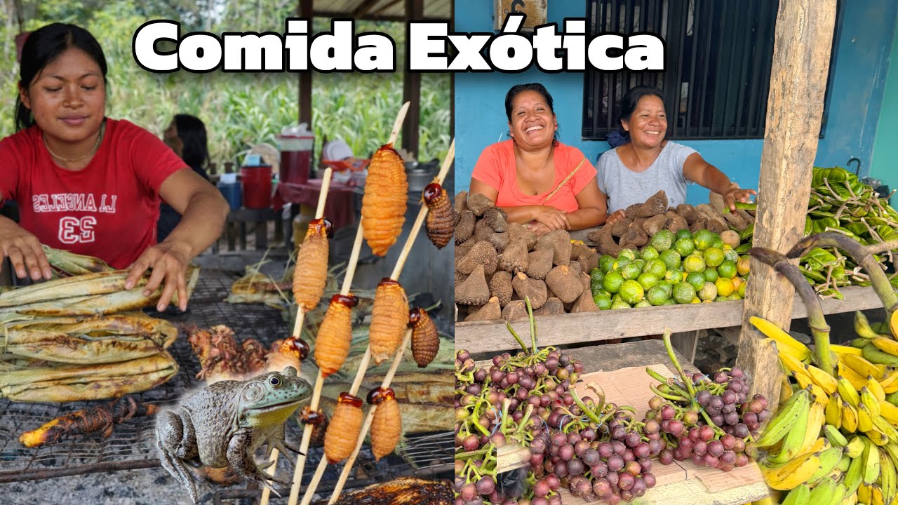😮 COMIDA EXÓTICA en las profundidades de la SELVA 🐜🐸 Josué y Elie 