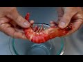 How to Peel Prawns | The Hook and The Cook
