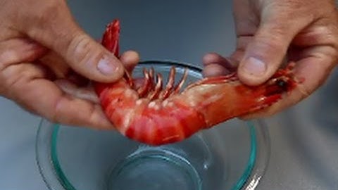 How to Peel Prawns | The Hook and The Cook