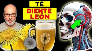 ENFERMEDADES que SANAN con TÉ de DIENTE DE LEÓN (CÓMO USARLO)